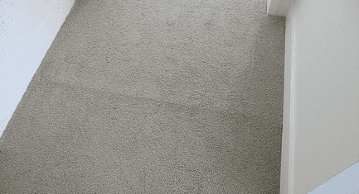 Visible Carpet Join SJN Building Consultants
