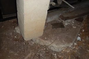 expert witness, building consulting sydney